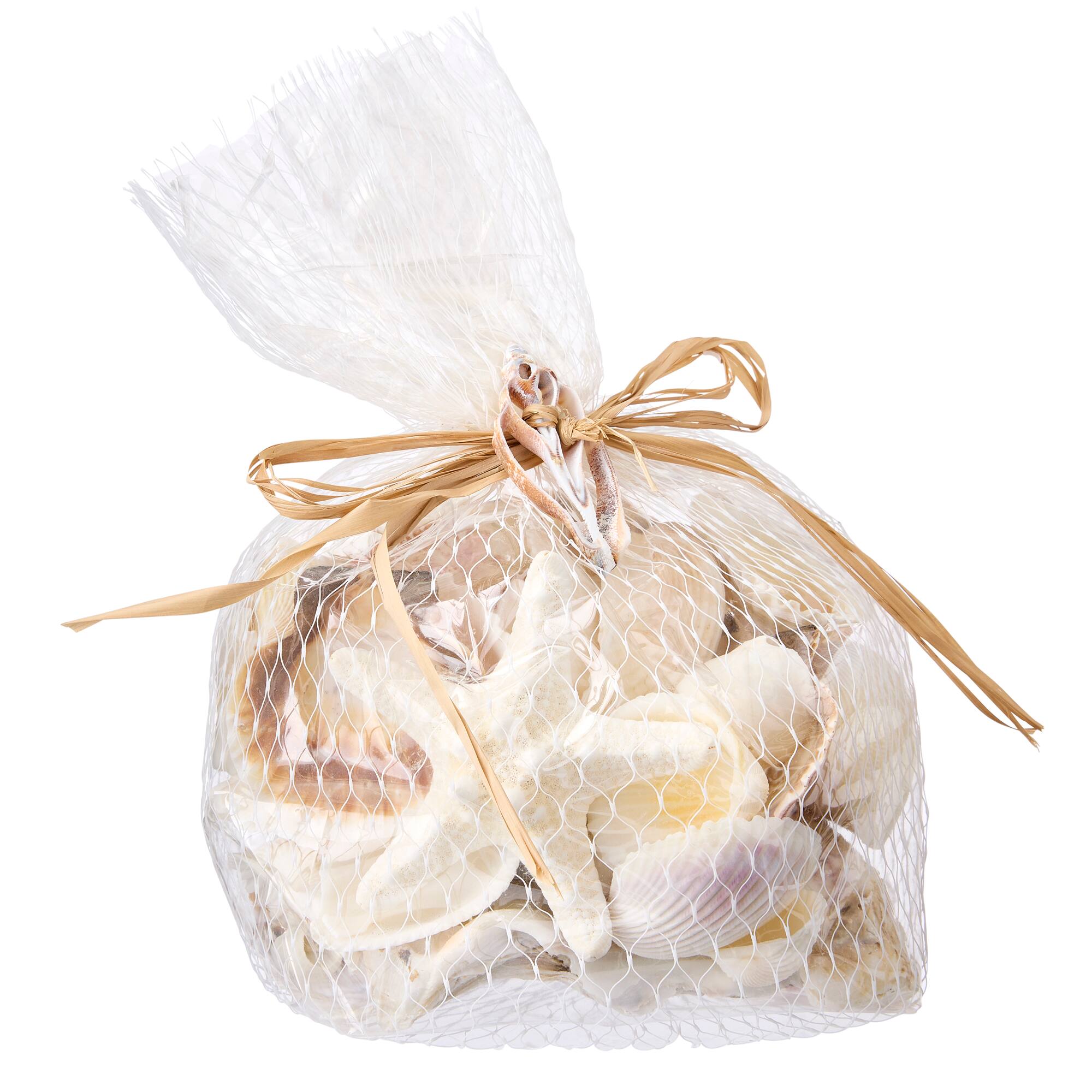 12 Pack: U.S. Shell Light Shell Mix with Starfish Gift Pack